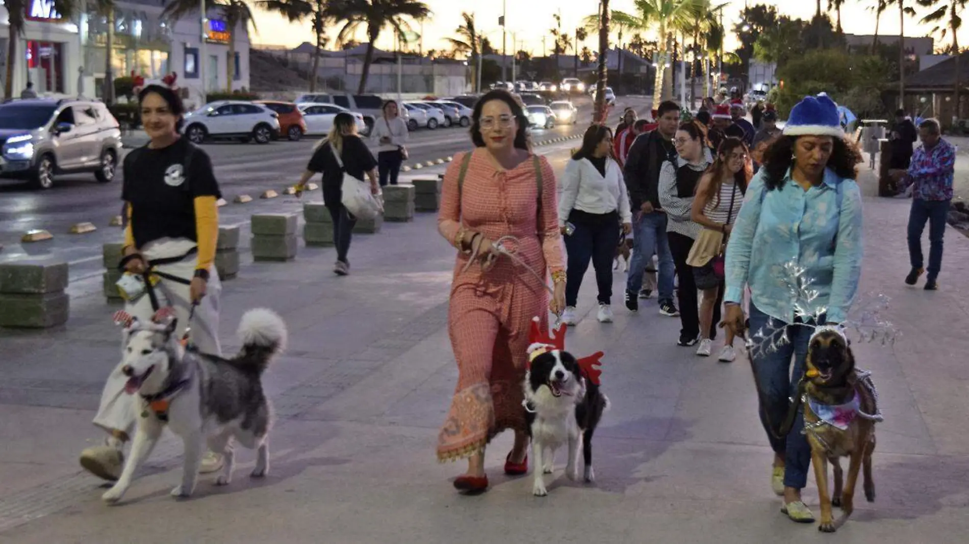 desfile de lomitos en la paz